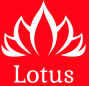 Lotus, LLC
